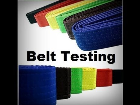 Belt testing taekwondo deals